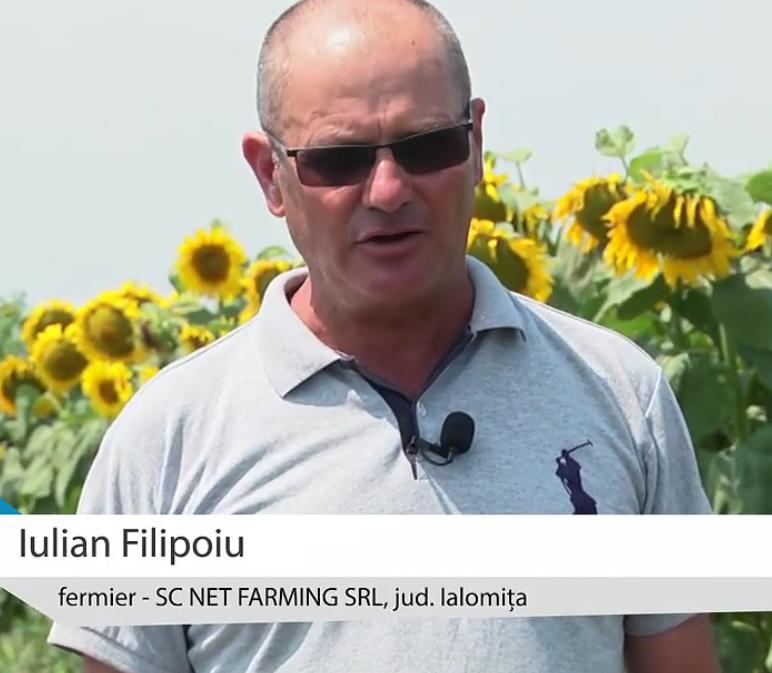 Iulian Filipoiu, Agricover partner from Ialomita, on the impact of phytosanitary products in sunflower cultivation